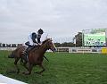 T-20141026-165316_T-20141026-165309_IMG_1575-7 aaa